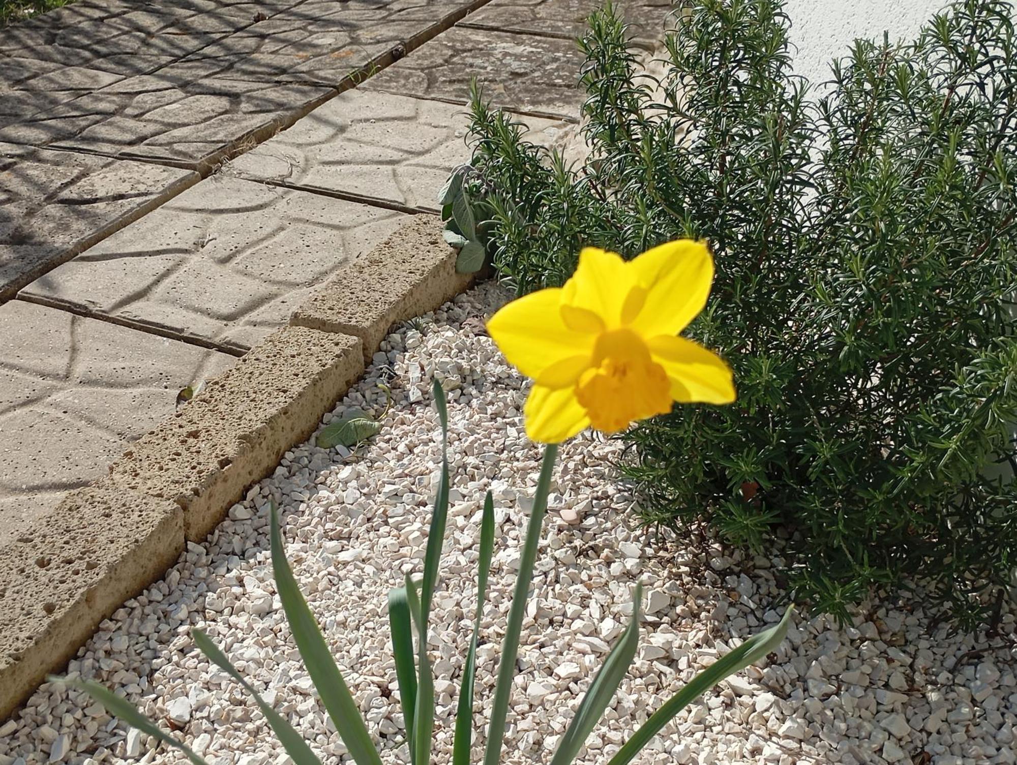 San Costanzo B&B Villa Alma מראה חיצוני תמונה